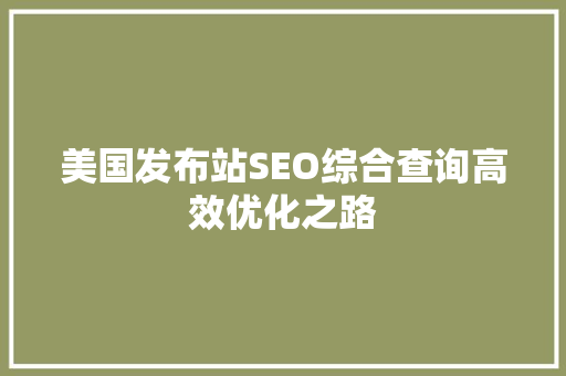 美国发布站SEO综合查询高效优化之路