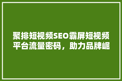 聚排短视频SEO霸屏短视频平台流量密码，助力品牌崛起