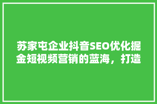 苏家屯企业抖音SEO优化掘金短视频营销的蓝海，打造品牌新优势