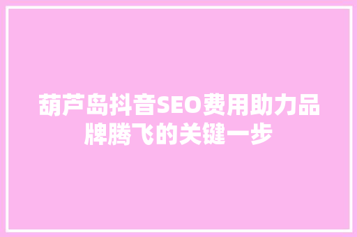 葫芦岛抖音SEO费用助力品牌腾飞的关键一步