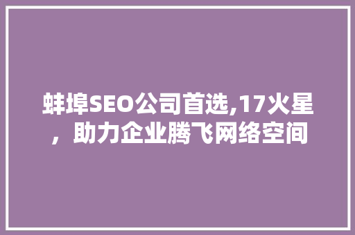 蚌埠SEO公司首选,17火星，助力企业腾飞网络空间