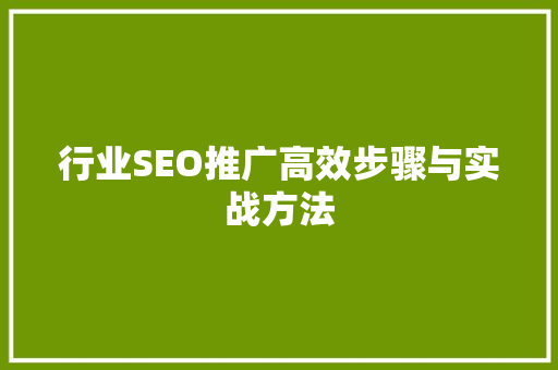 行业SEO推广高效步骤与实战方法