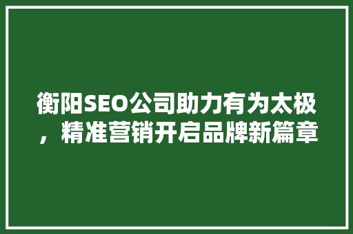 衡阳SEO公司助力有为太极，精准营销开启品牌新篇章