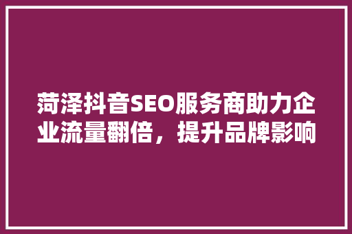 菏泽抖音SEO服务商助力企业流量翻倍，提升品牌影响力