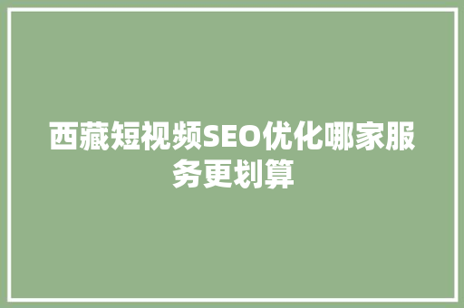 西藏短视频SEO优化哪家服务更划算