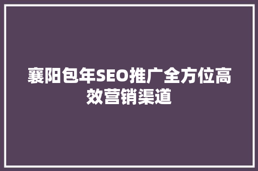 襄阳包年SEO推广全方位高效营销渠道