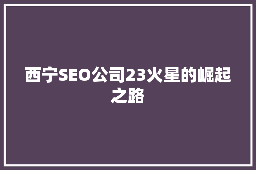 西宁SEO公司23火星的崛起之路