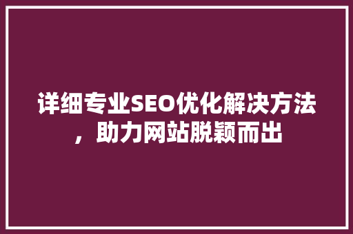 详细专业SEO优化解决方法，助力网站脱颖而出