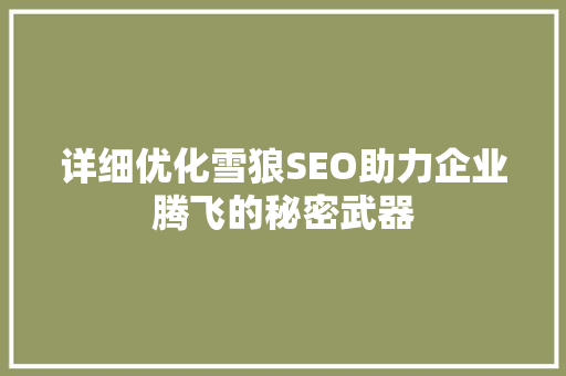 详细优化雪狼SEO助力企业腾飞的秘密武器