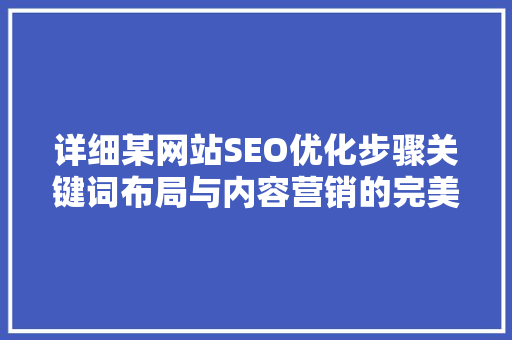 详细某网站SEO优化步骤关键词布局与内容营销的完美融合