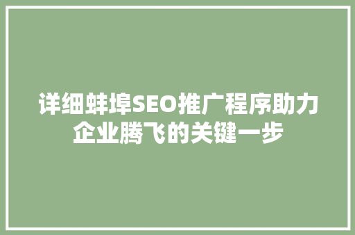 详细蚌埠SEO推广程序助力企业腾飞的关键一步