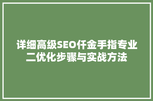 详细高级SEO仟金手指专业二优化步骤与实战方法