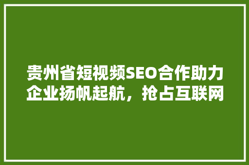 贵州省短视频SEO合作助力企业扬帆起航，抢占互联网蓝海