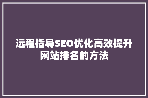 远程指导SEO优化高效提升网站排名的方法