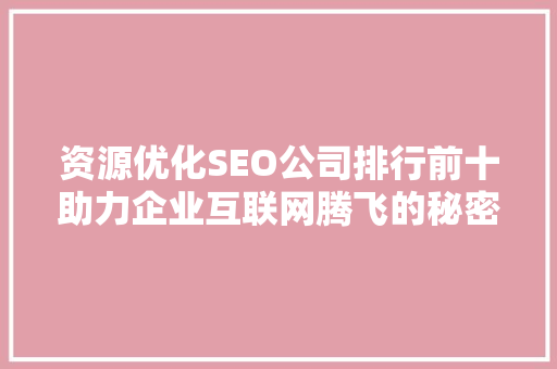 资源优化SEO公司排行前十助力企业互联网腾飞的秘密武器