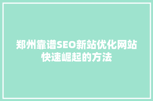 郑州靠谱SEO新站优化网站快速崛起的方法