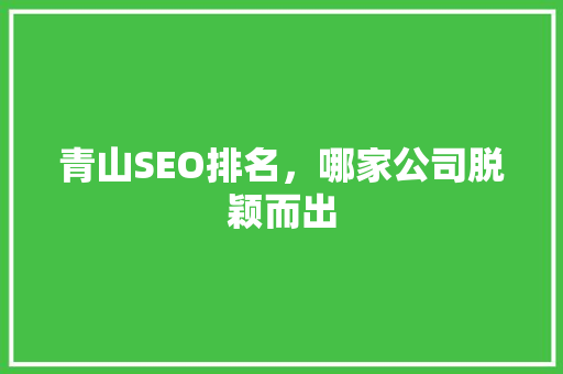 青山SEO排名，哪家公司脱颖而出