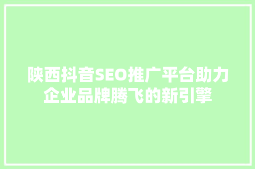 陕西抖音SEO推广平台助力企业品牌腾飞的新引擎