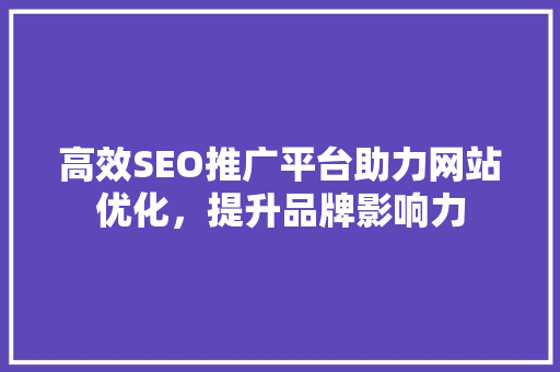 高效SEO推广平台助力网站优化，提升品牌影响力