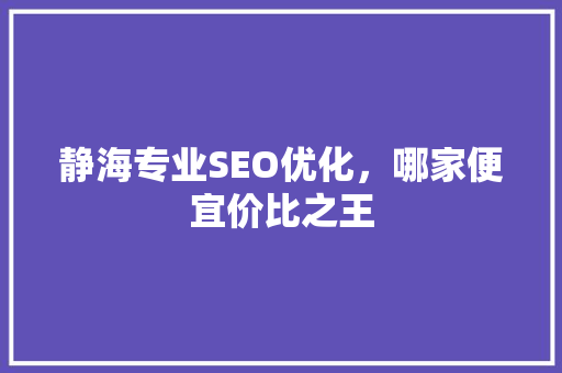 静海专业SEO优化，哪家便宜价比之王