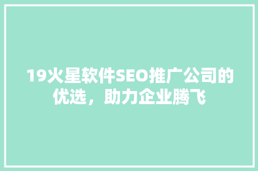 19火星软件SEO推广公司的优选，助力企业腾飞