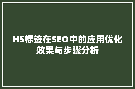 H5标签在SEO中的应用优化效果与步骤分析