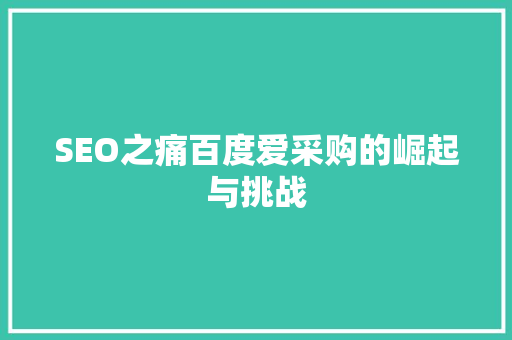 SEO之痛百度爱采购的崛起与挑战