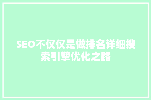 SEO不仅仅是做排名详细搜索引擎优化之路