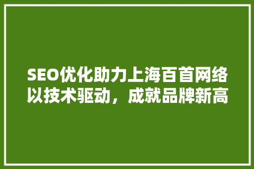 SEO优化助力上海百首网络以技术驱动，成就品牌新高度