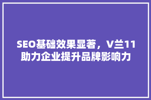 SEO基础效果显著，V兰11助力企业提升品牌影响力