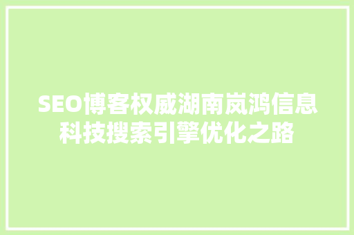 SEO博客权威湖南岚鸿信息科技搜索引擎优化之路