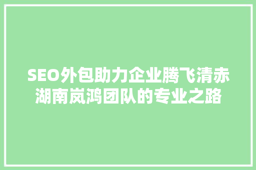 SEO外包助力企业腾飞清赤湖南岚鸿团队的专业之路