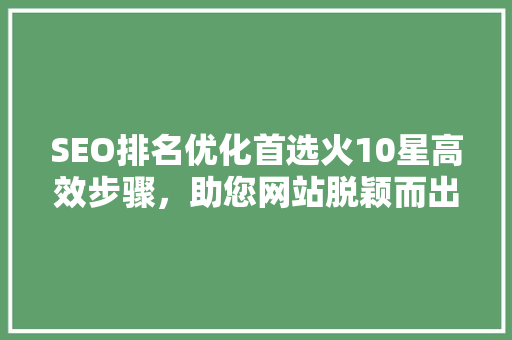 SEO排名优化首选火10星高效步骤，助您网站脱颖而出