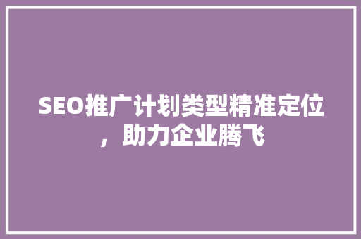 SEO推广计划类型精准定位，助力企业腾飞