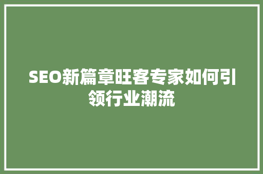 SEO新篇章旺客专家如何引领行业潮流