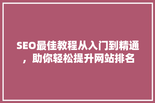 SEO最佳教程从入门到精通，助你轻松提升网站排名