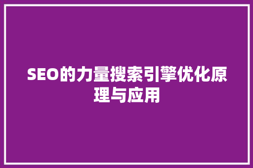 SEO的力量搜索引擎优化原理与应用