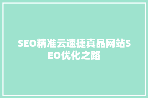SEO精准云速捷真品网站SEO优化之路