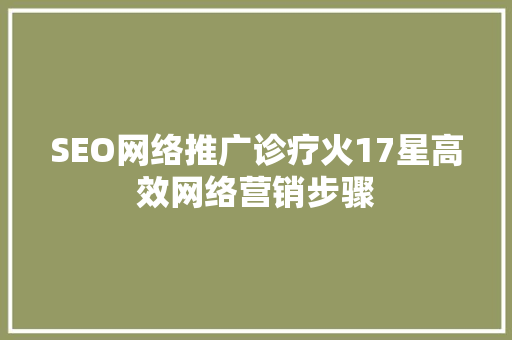 SEO网络推广诊疗火17星高效网络营销步骤