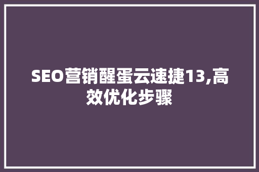 SEO营销醒蛋云速捷13,高效优化步骤