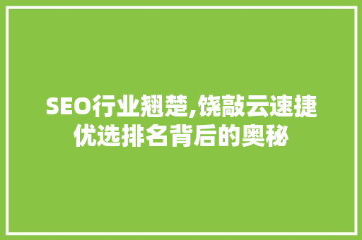SEO行业翘楚,饶敲云速捷优选排名背后的奥秘