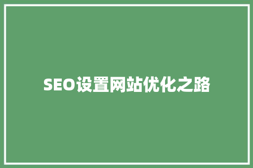 SEO设置网站优化之路