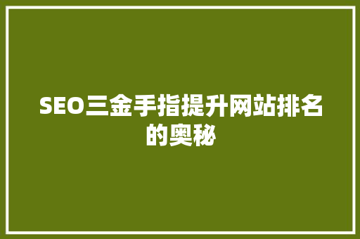 SEO三金手指提升网站排名的奥秘