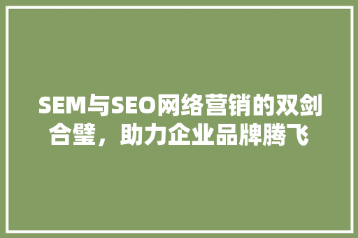 SEM与SEO网络营销的双剑合璧，助力企业品牌腾飞