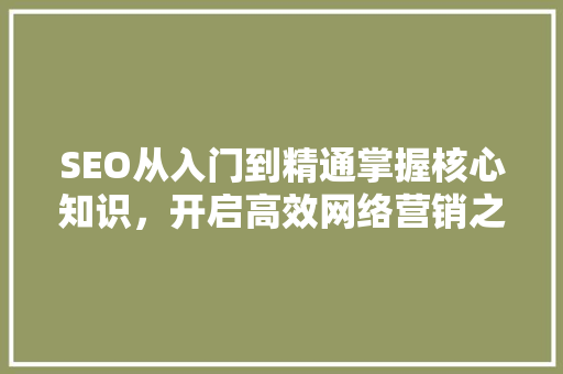 SEO从入门到精通掌握核心知识，开启高效网络营销之旅