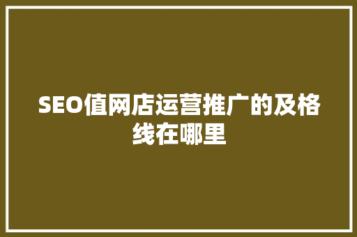 SEO值网店运营推广的及格线在哪里