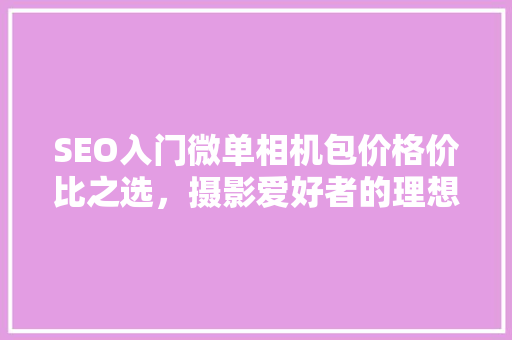 SEO入门微单相机包价格价比之选，摄影爱好者的理想伴侣