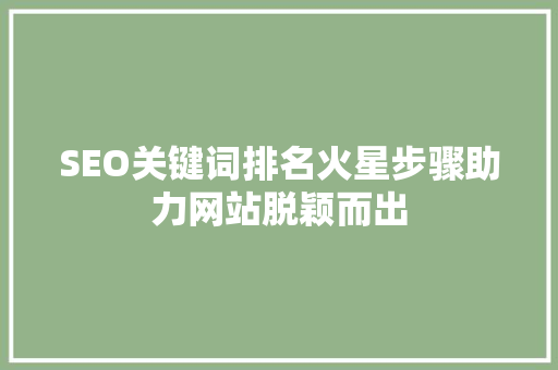 SEO关键词排名火星步骤助力网站脱颖而出