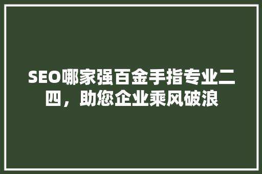SEO哪家强百金手指专业二四，助您企业乘风破浪