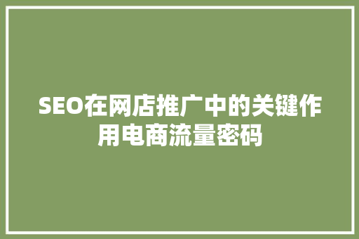 SEO在网店推广中的关键作用电商流量密码